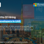 hiring aspdot net developer